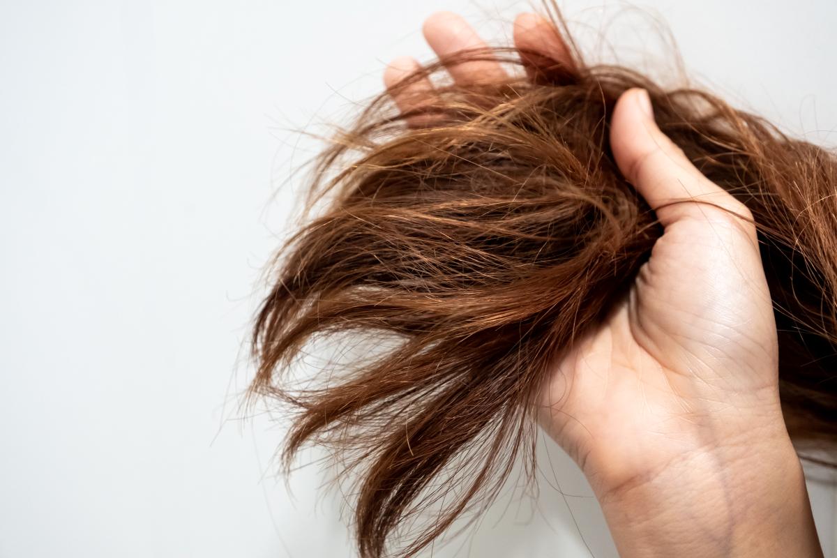 ¿Cómo hidratar el pelo seco y dañado en casa?