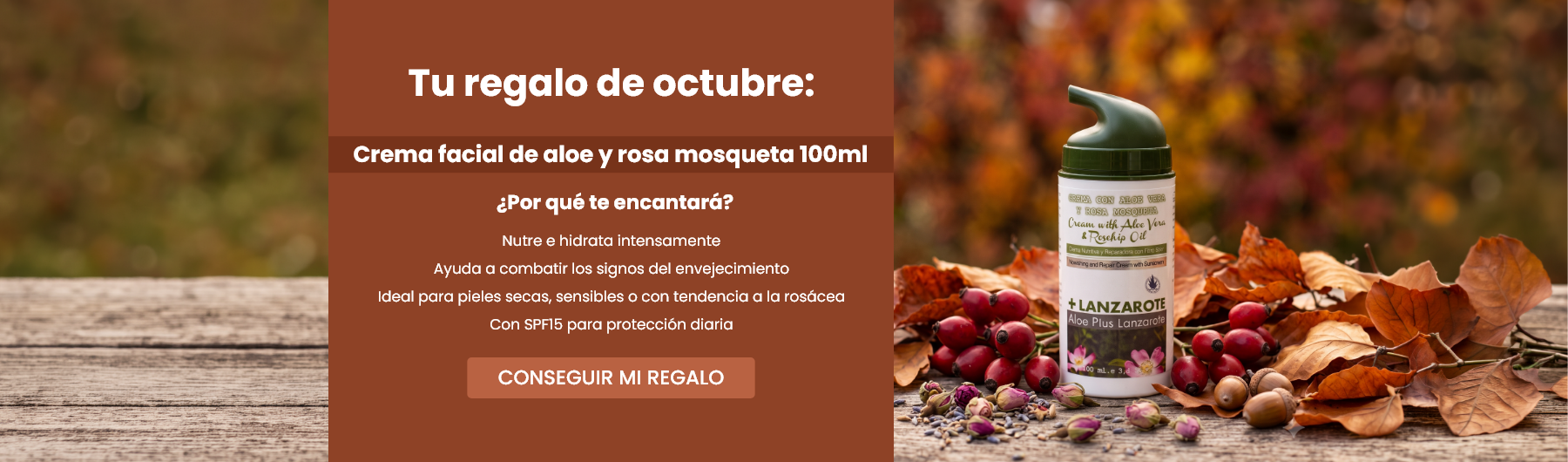  Tu regalo de octubre: Crema facial de aloe y rosa mosqueta 100ml 